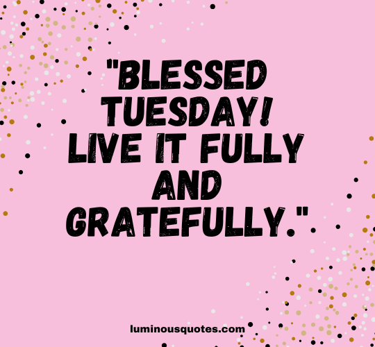 tuesday blessings featured