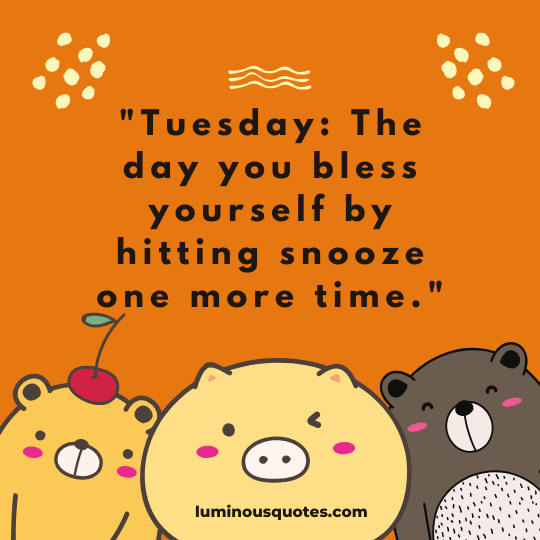 tuesday blessings funny