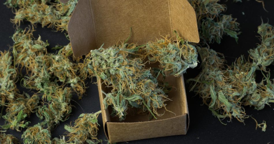 Medical Cannabis