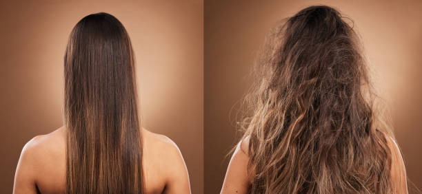 Revive dry, damaged hair with these effective tips to restore moisture, shine, and strength for healthier, more vibrant locks.