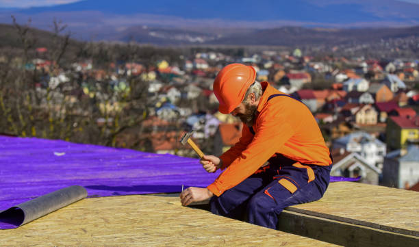 Roofing Contractor