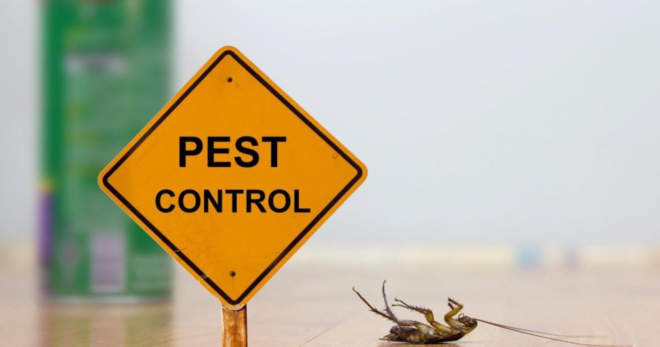 Home Pest Services Protect