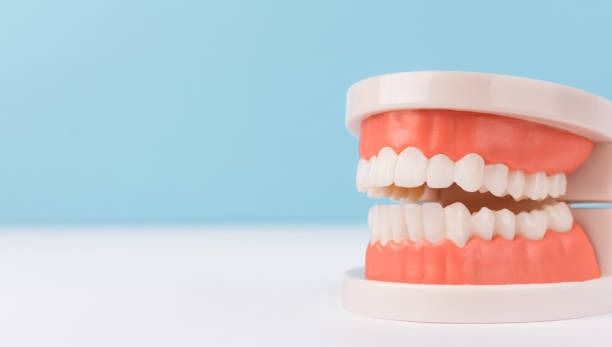 Comprehensive Overview for Better Oral Health 
