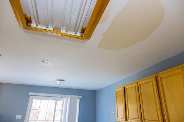 Roof Leaks Inside Homes
