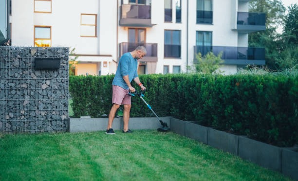 Transform Your Lawn Care Routine with Innovative Tools