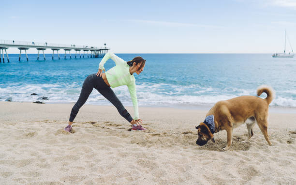 Joint Health in Dogs